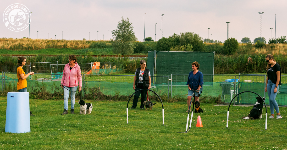 Hoopers hondencursus