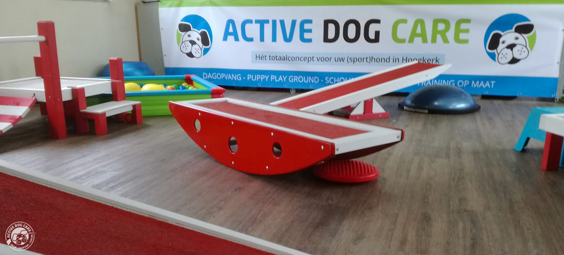 Puppy Play Ground in Groningen