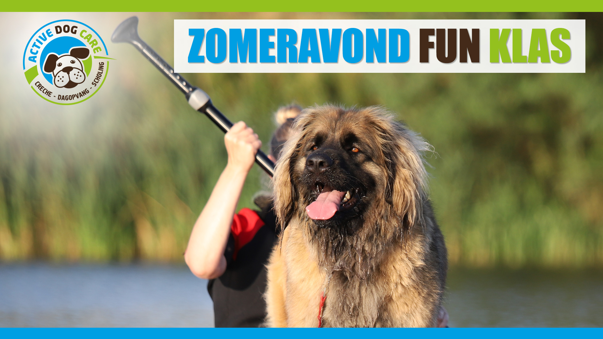 Zomeravond Fun Klas - Active Dog Care