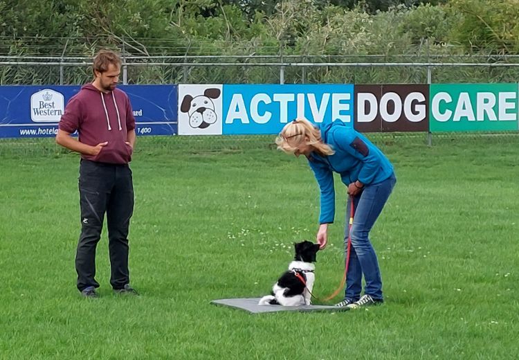 PrivÃ©training Pup Hoogkerk