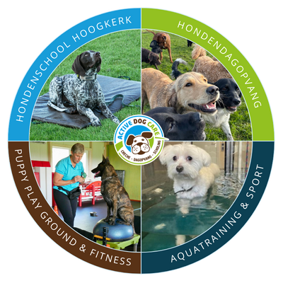 Alles voor je hond Active Dog Care