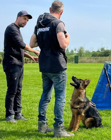PrivÃ©les pup Hoogkerk Groningen